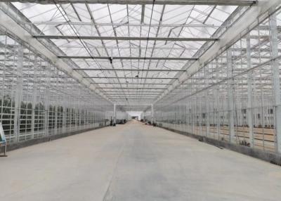 China Green Plant Garden Tempered Glass Greenhouse For Large Ornamental Flowers for sale