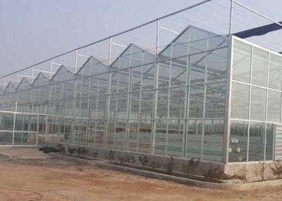 China High Grade Galvanized Pipe Greenhouse Glass Covering Commercial for sale