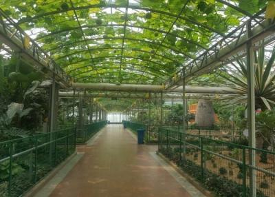 China High Grade Venlo Glass Greenhouse Galvanized Pipe Commercial en venta