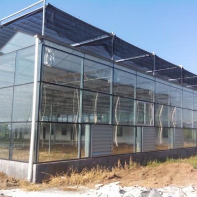 China High Yield Vegetable Glass Seedling Greenhouse For Tomato / Cucumber for sale
