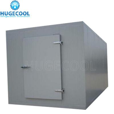 China Factory warehouse food chiller room ,meat and fish for sale