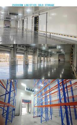 China Aluminum Frame Cold Room Hinged Door For Cold Storage And Warehouse for sale