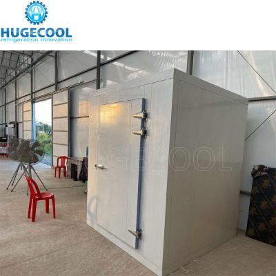 China Double Open Cold Room Hinged Door For Frozen Food for sale
