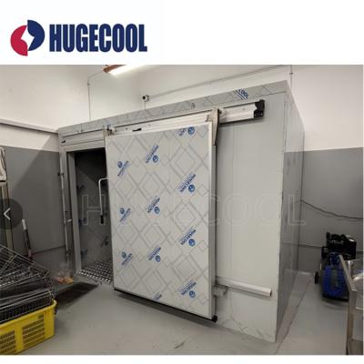 PVC Coated Steel Freezer Cold Room Pharmaceutical Cold Storage Ice ...