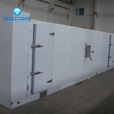 Cina L'unità di elaborazione riveste la stanza di pannelli di conservazione in congelatore, passeggiata nella dimensione su misura stanza del congelatore in vendita