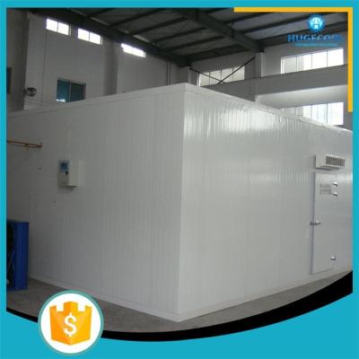 중국 B2 급료 방화 효력이 있는 패널과 가진 냉장고 모듈 찬 방 판매용