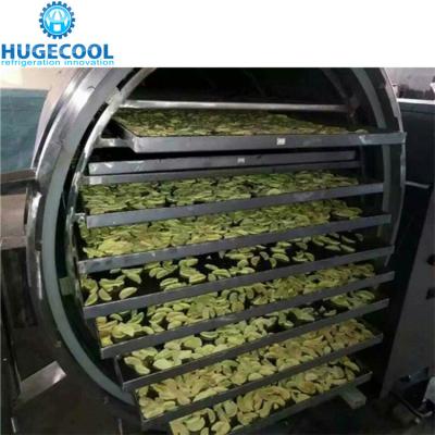 China Máquina de secagem de gelo do vácuo do controlo automático, secador liofilizado do alimento à venda