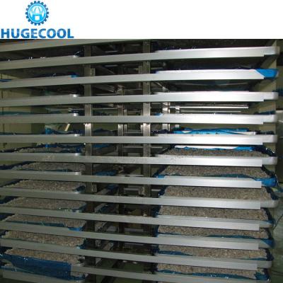 China a instalação conveniente da máquina de secagem de gelo do vácuo da capacidade 300kg/H à venda