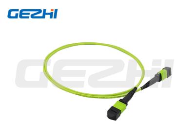 Chine Om5 Mpo câbles jumpeurs en fibre de tronc pour une connectivité optique à haute densité à vendre