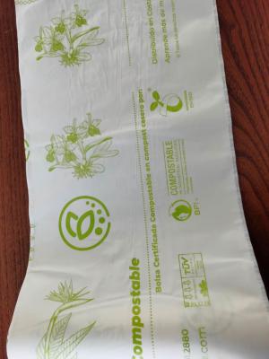 China 100% Biodegradable Disposable Bags Environmentally Eco Friendly Disposable Bags for sale