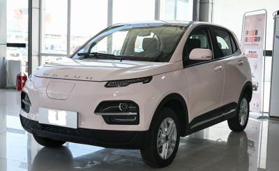 China 2022 Dayun Automobile EV Yuehu 300 5 deuren 5 zitplaatsen SUV Cltc 300Km Te koop