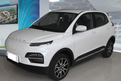 중국 디럭스 에디션 2022 Dayun Yuehu 300 5도어 5인승 SUV Cltc 300Km 판매용