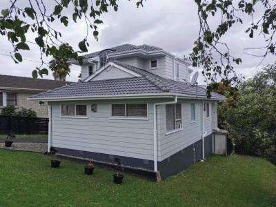 China The Most Reliable House Painters In West Auckland for sale