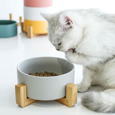 China Unique Colorful 15.5*7cm Cat Ceramic Bowl Pet Food Feeder for sale