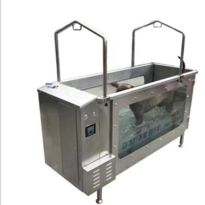 China 3HP Hydrotherapy Underwater 2.2mm Pet Treadmill For Dogs for sale