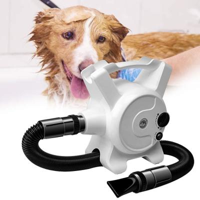 China Pet Water ABS 220V Grooming Blow Dryer Machine for sale