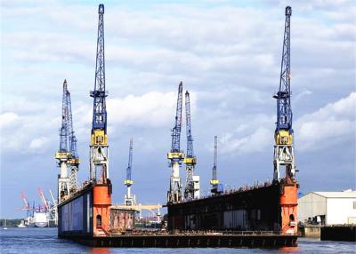 Chine CCS 5T au port du chantier naval 40T tend le cou la grue de levage de dock flottant de taille de 35m à vendre