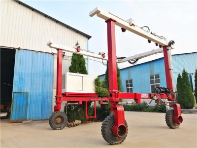 China Used Boat Hoist Side Lifting Rubber Tired Gantry Crane 12t For Lift Boat for sale