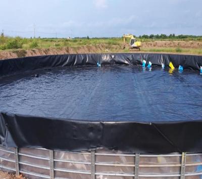Китай Белая гидроизоляционная геомембрана 0,5 мм 1 мм Рыбоводческие водоемы Лайнер HDPE геомембраны продается