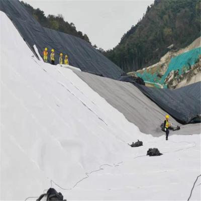 Chine 200g/400g Geobag non tissé géotextile tube de culture de sable Geobag pour le travail de terre Largeur 1-6m à vendre