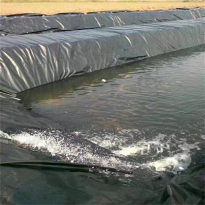 China LLDPE 0.5mm Geomembrane Water Storage Membrane for Durable Black Fish Pond Liners for sale