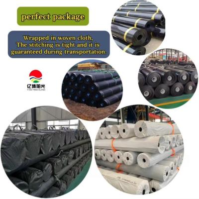 China 500 Micron 750 Micron 1000 Micron HDPE Geomembrane Pond Liner Reservoir Liner for sale