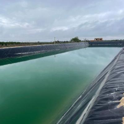 China LLDPE Geomembrane The Ideal Choice for 0.2-3.0mm Fish Pond Liners in SDM Farming for sale