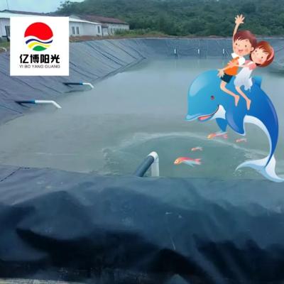 China Revestimientos de geomembrana de superficie lisa de HDPE 100% de HDPE virgen para incubadoras de peces al aire libre en venta