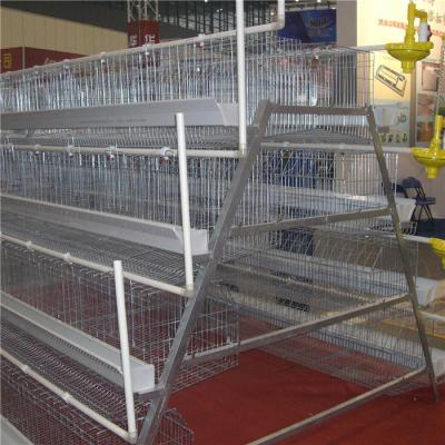 China 3/4/5 Tiers A Type Layer Chicken Cage Large Scale Farm Use for sale