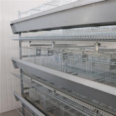 China Automatic H Type Layer Chicken Cage Hot Galvanized Steel for sale