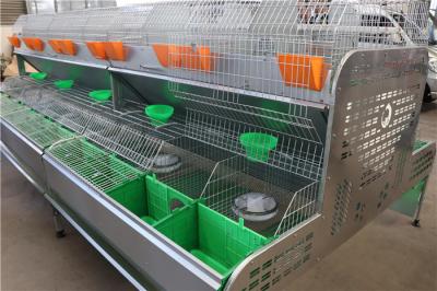 China Poultry Equipment Q235 Farm Rabbit Cage Automatic Drinking Cleaing for sale
