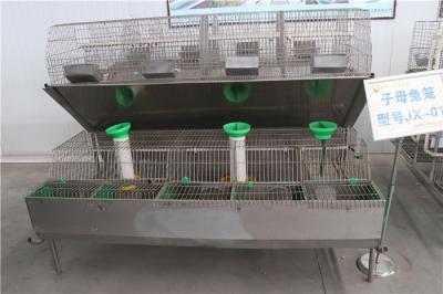 China Commercial Poultry 24 Position Wire Mesh Rabbit Cage Automatic Control System for sale
