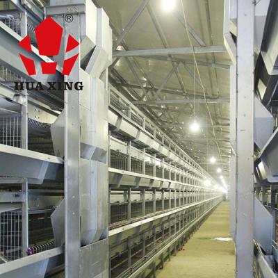 Chine Conducteur automatique de l'eau de structure rationnelle pour les poulets/conducteur automatique de volaille pour le grilleur à vendre