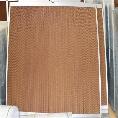 China Long Greenhouse Cooling Pads , Automatic Climate Control System Large Evaporation Area for sale