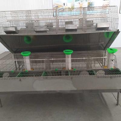 China 2400 * 2000 * 1500mm Farm Rabbit Cage Q235 Steel Wire / Plastic Material for sale