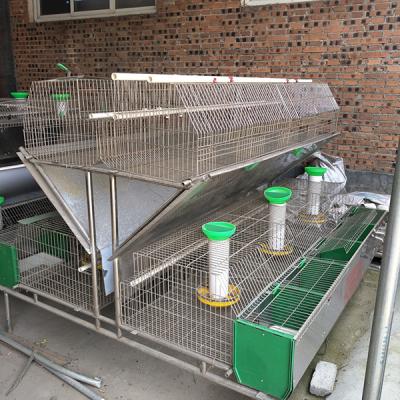 Cina 50~80 gabbie crescere del coniglio commerciale della gabbia del coniglio dell'azienda agricola di bambini in vendita