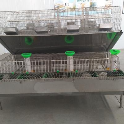 China Steel Wire Mesh Farm Rabbit Cage Hot Dipped Galvanized Surface 12 Mums Capacity for sale