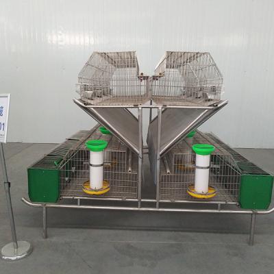 China Wire Floor Custom Rabbit Cage , Large Commercial Rabbit Breeding Cages for sale