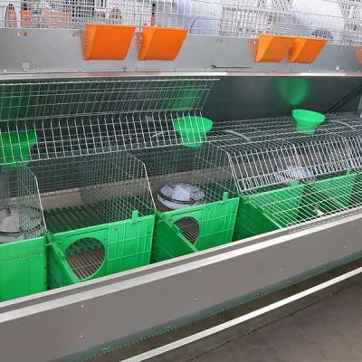 China Breeding Rabbit Hutch With Automatic Poop Collector , Silver Commercial Rabbit Housing for sale
