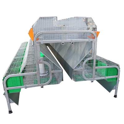 China Breeder 240 * 200 * 150cm Rabbit Cage , Rigid Wire Rabbit Cage With Tray for sale