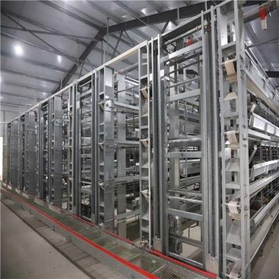 China Low Noise Poultry Egg Production Equipment , H Type 4  Tier Chicken Poultry Equipment for sale