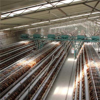 中国 省力化を働かせている鶏のためのHのタイプ4層の自動家禽の送り装置システム 販売のため