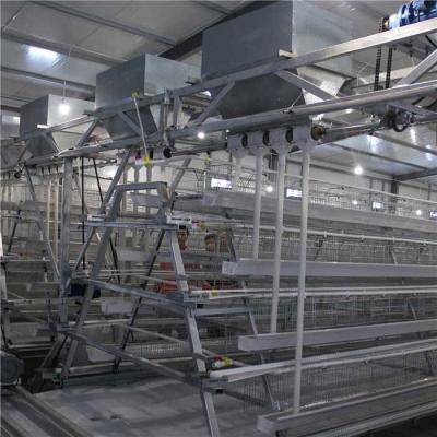 China Stable Automatic Chicken Feeder System , Highly Efficient Poultry Feed Machine for sale
