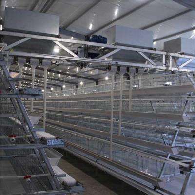 Chine Conducteur à grande vitesse durable de ferme avicole, distributeur automatique de nourriture de poulet à vendre