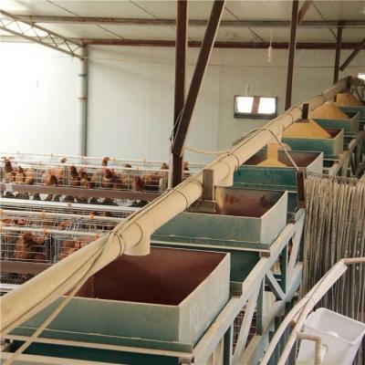 China La estructura simple de las aves de corral del sistema automático impermeable del alimentador estabiliza funcionamiento en venta
