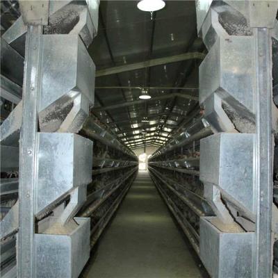 China Rigid Frame Broiler Farm Equipment Needed For Poultry Farming Heavy Weight for sale