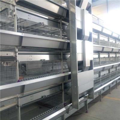 China Máquina rápida de la alimentación de la granja avícola, estructura simple automatizada del equipo de las aves de corral en venta