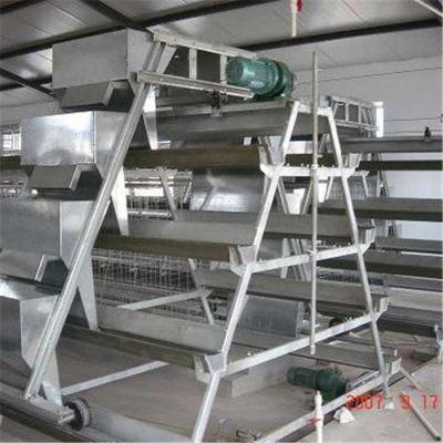 China H Type Automatic Poultry Feeder System Low Energy Consumption Easy To Manage for sale