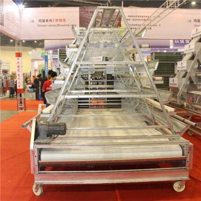 China Structural Automatic Manure Removal System Powerful For Farm Manure Cleaning for sale
