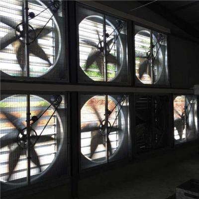 China Sistema de enfriamiento vertido aves de corral del invernadero, fan de flujo axial del control ambiental en venta